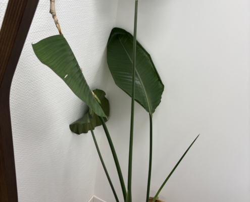 Photo 18 12 2025 09 42 10