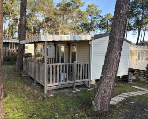 Photo 15 01 2026 10 14 01